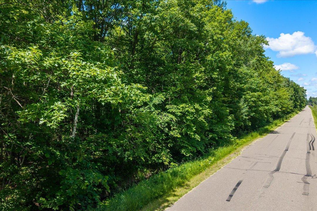 Tract A Maghan Road, Deerwood MN 56444 - Photo 5 of 10