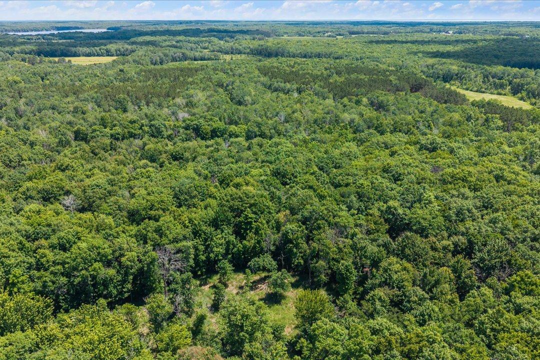 Tract A Maghan Road, Deerwood MN 56444 - Photo 9 of 10