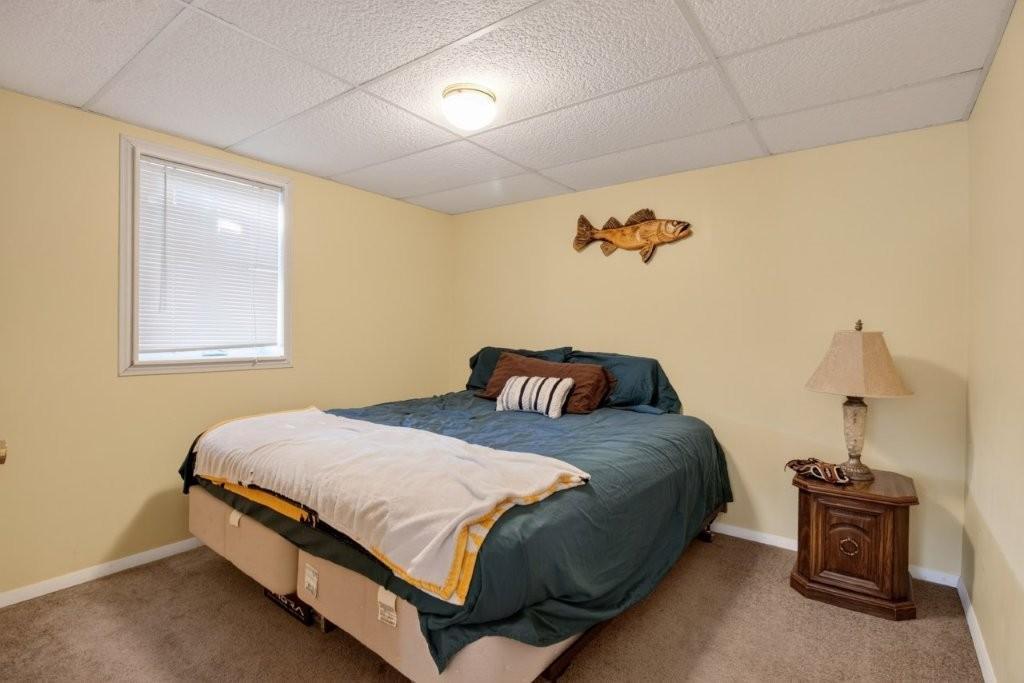 39466 385th Avenue, Dent MN 56528 - Photo 23 of 36