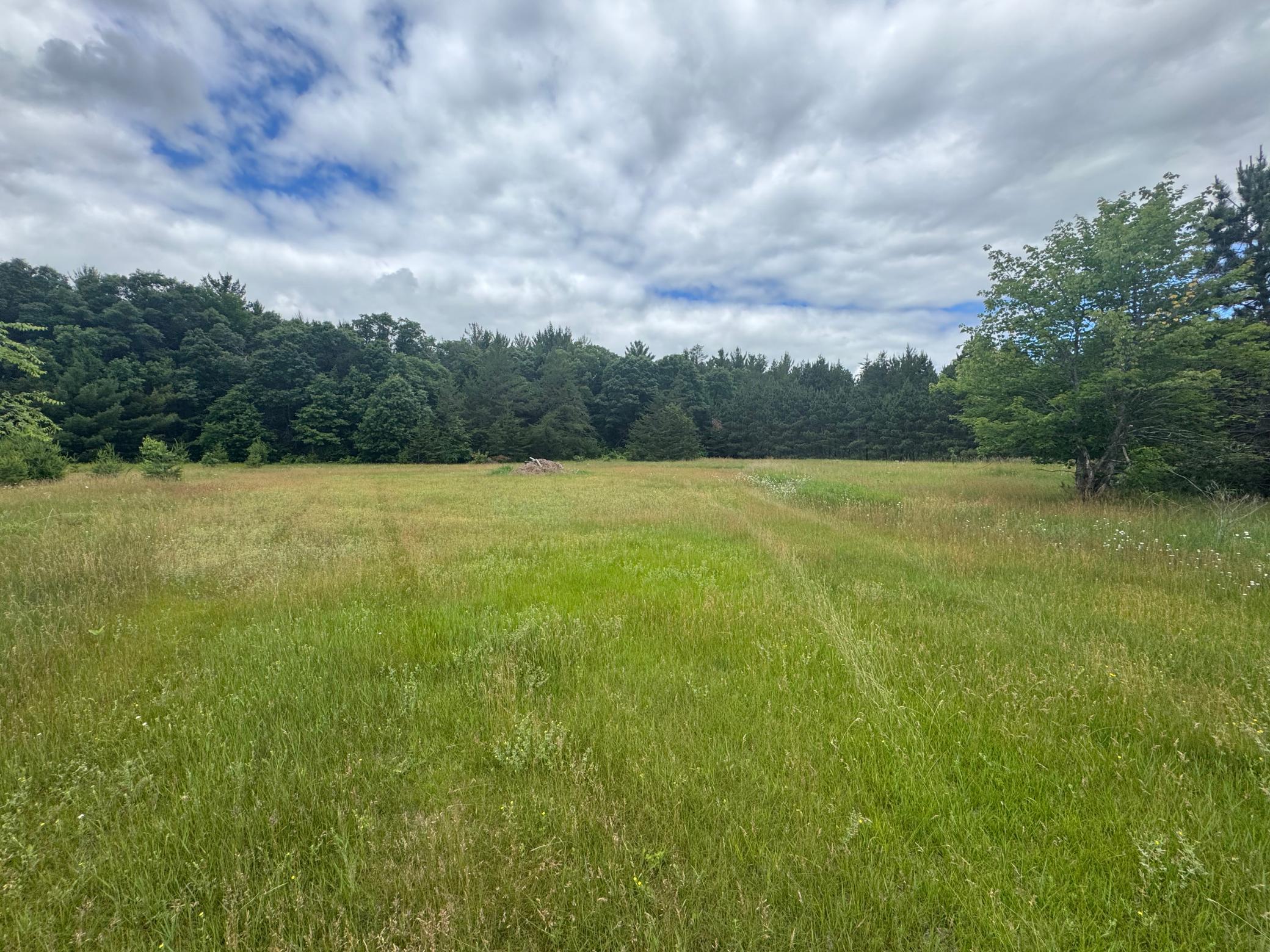 2177 Mississippi Shores Road, Fort Ripley MN 56449 - Photo 2 of 6
