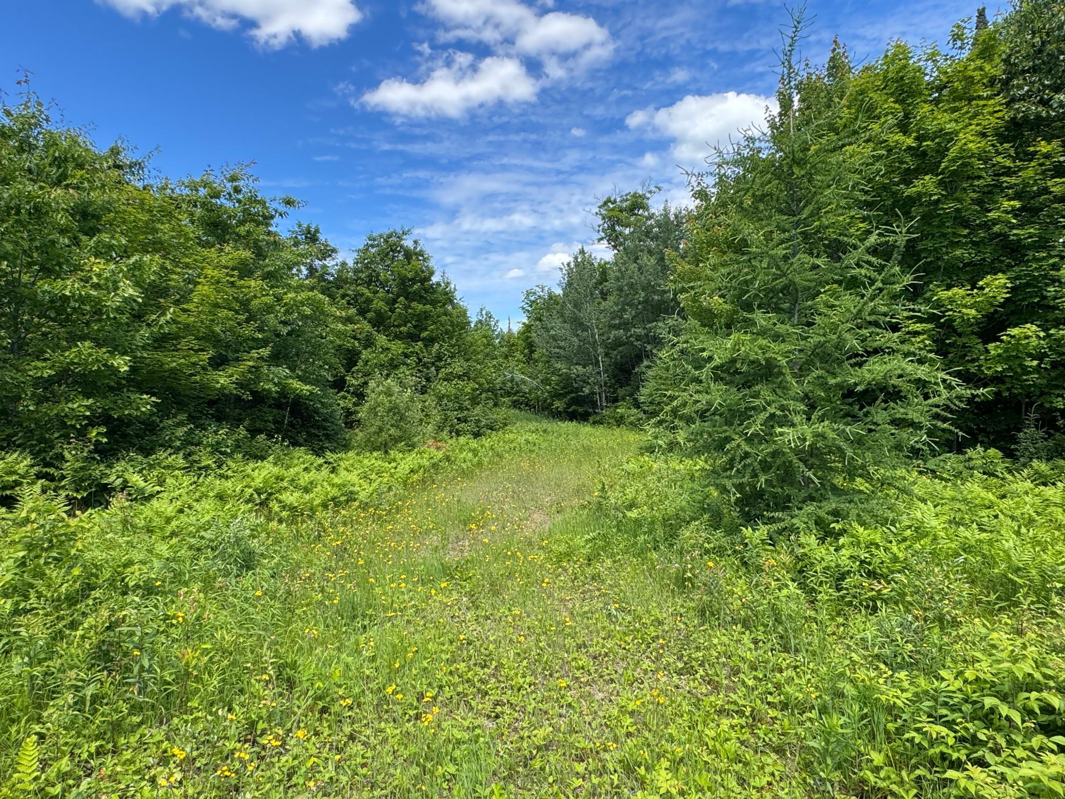 TBD 300th Lane, McGregor MN 55760 - Photo 3 of 25