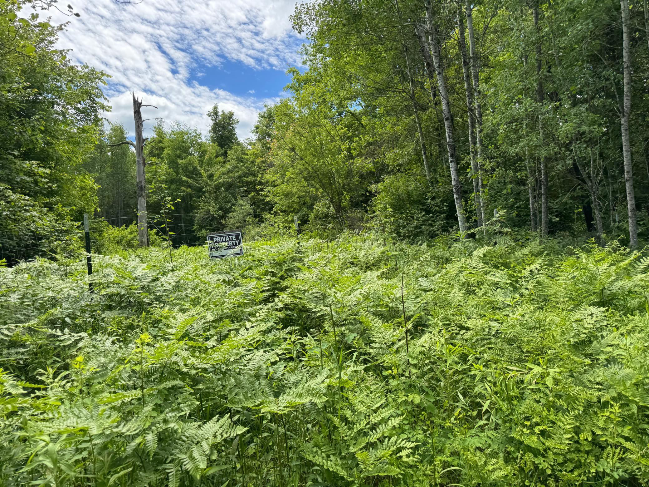 TBD 300th Lane, McGregor MN 55760 - Photo 5 of 25