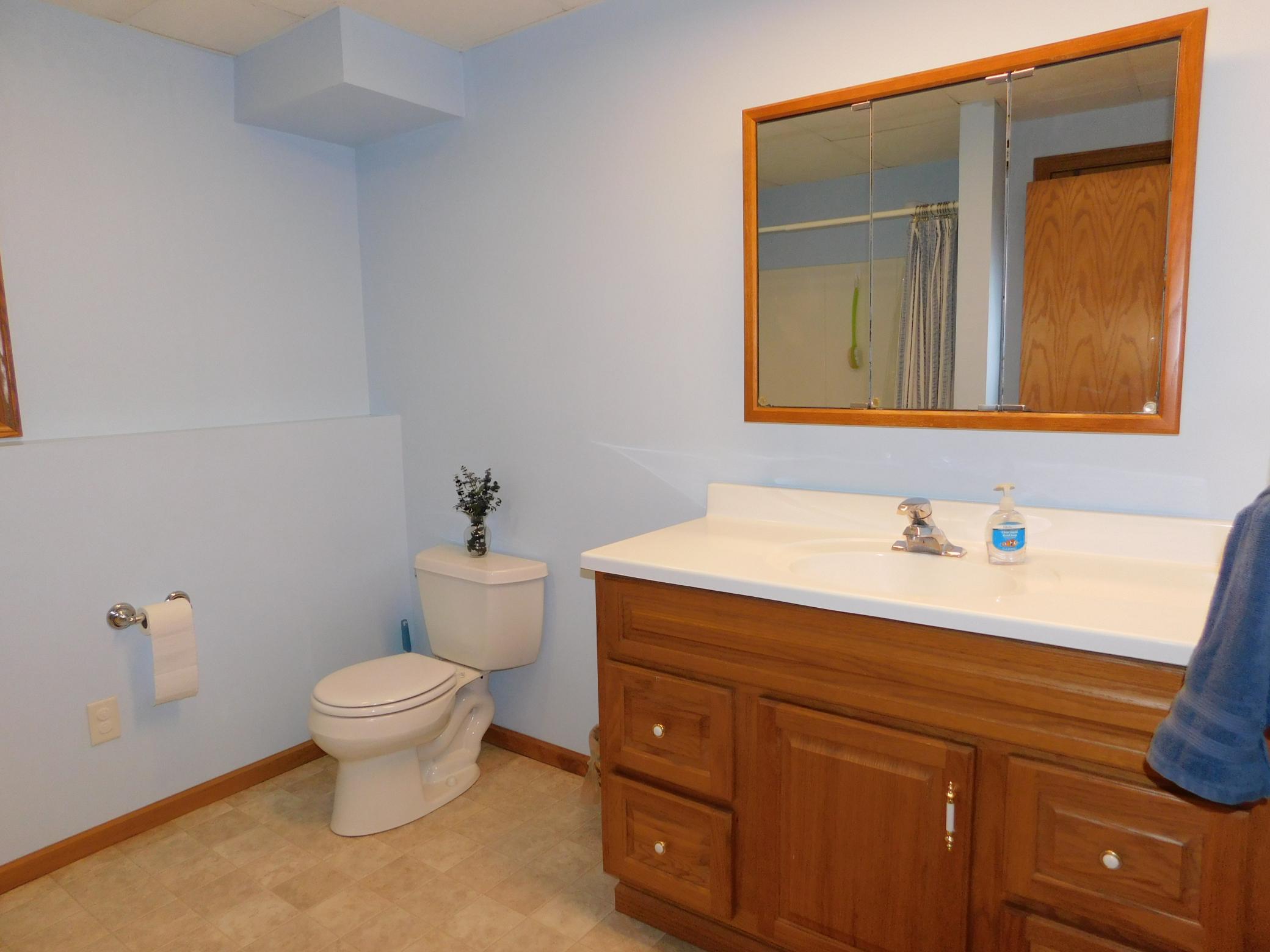 36991 450th Street, Palisade MN 56469 - Photo 34 of 72