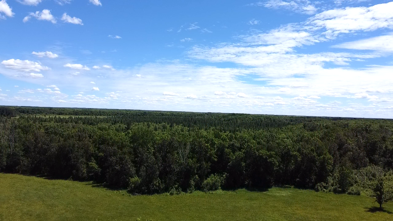 36991 450th Street, Palisade MN 56469 - Photo 62 of 72
