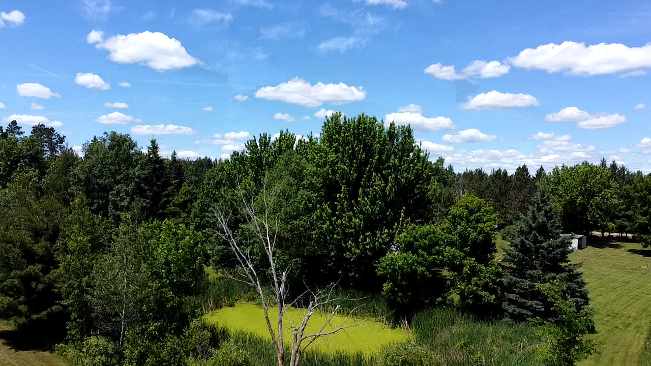 36991 450th Street, Palisade MN 56469 - Photo 8 of 72