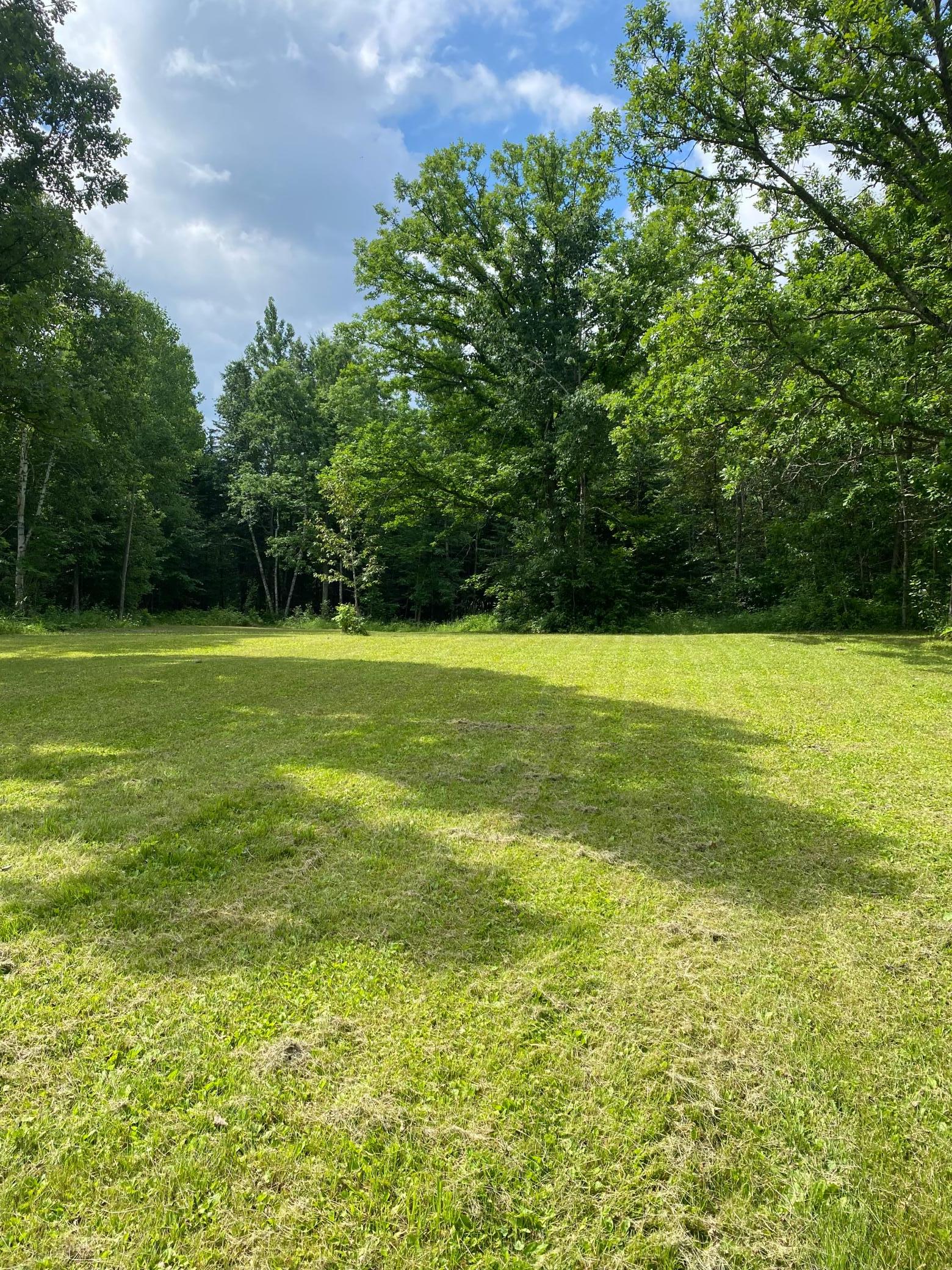 Parcel B County Road 35, Deer River MN 56636 - Photo 11 of 38