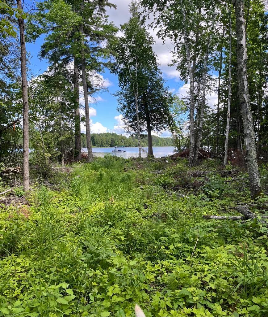 Parcel B County Road 35, Deer River MN 56636 - Photo 18 of 38