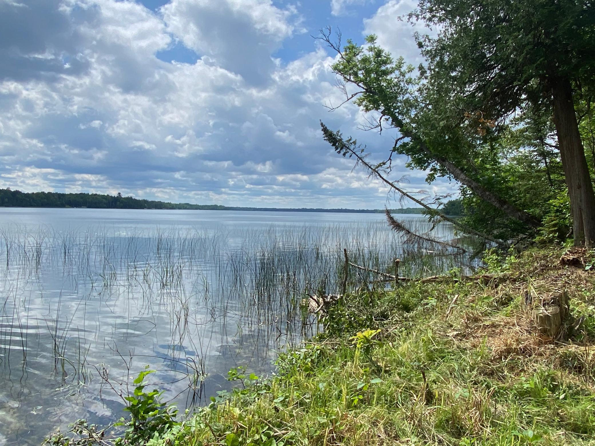 Parcel B County Road 35, Deer River MN 56636 - Photo 20 of 38