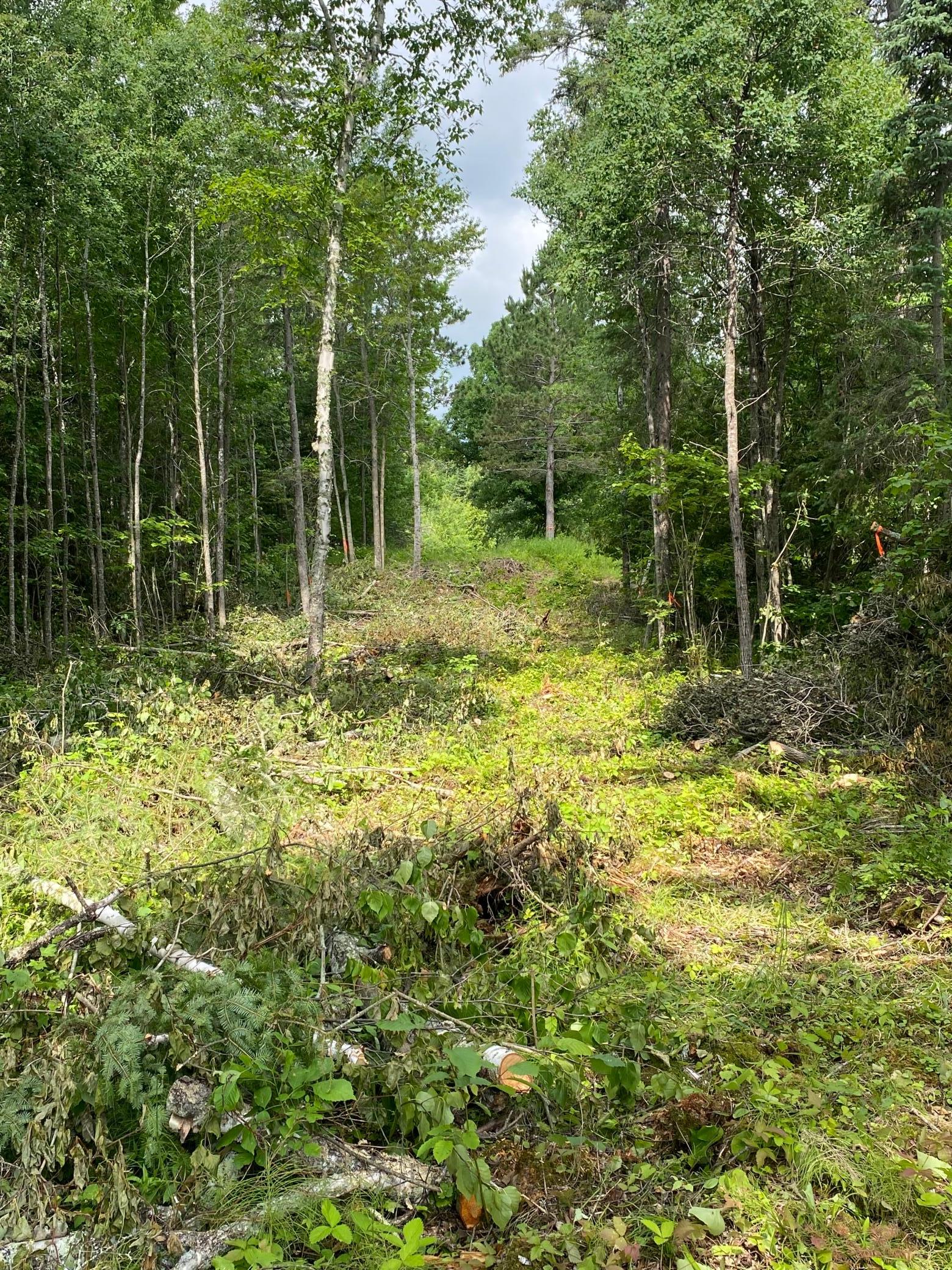 Parcel B County Road 35, Deer River MN 56636 - Photo 26 of 38
