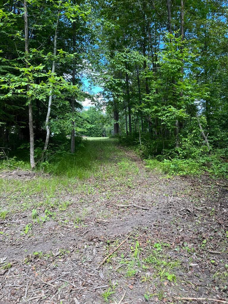 Parcel B County Road 35, Deer River MN 56636 - Photo 35 of 38