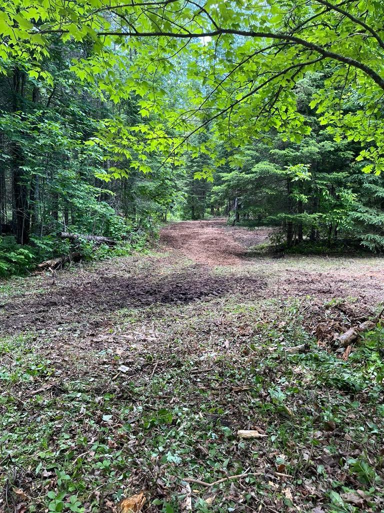 Parcel B County Road 35, Deer River MN 56636 - Photo 37 of 38
