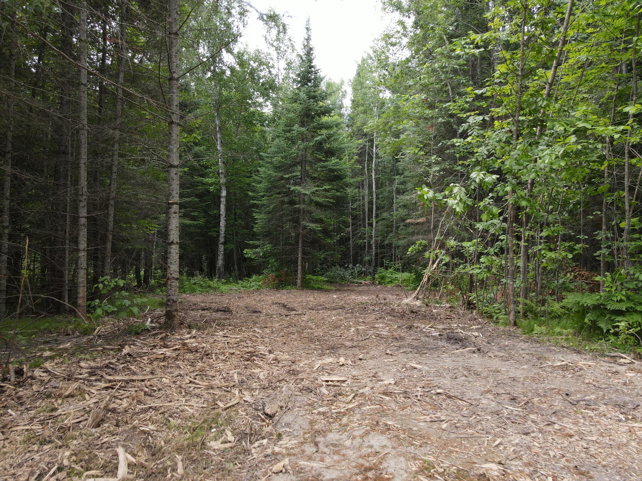 Parcel B County Road 35, Deer River MN 56636 - Photo 6 of 38