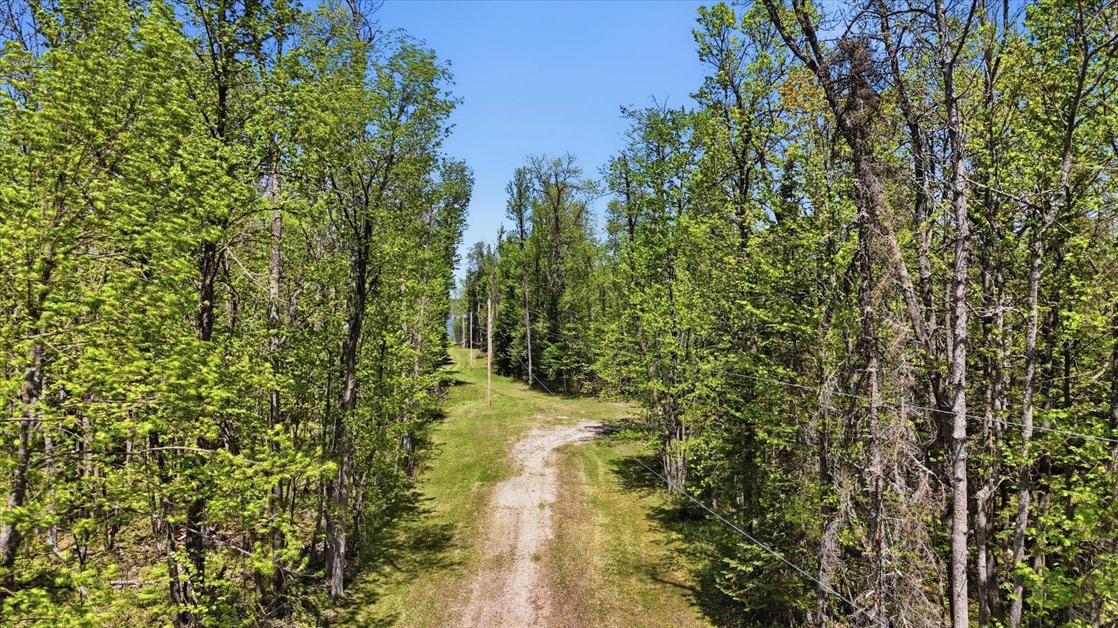 land for sale at TBD TBD Cedar Point Road in Marcell, MN (photo 12 of 23)