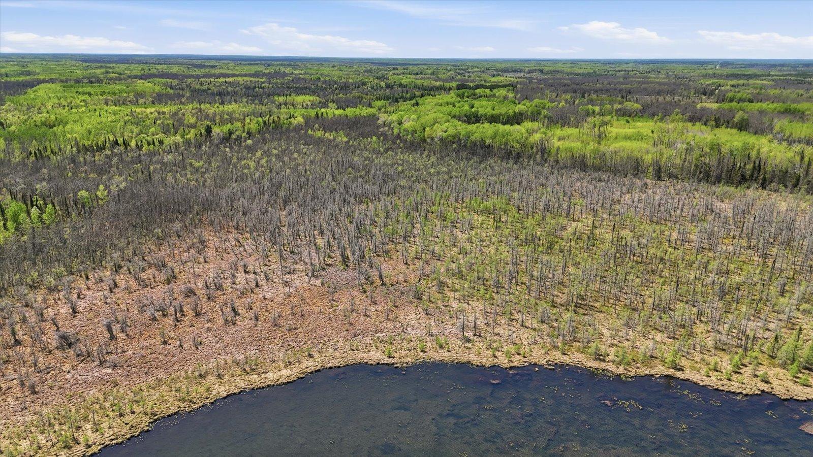 land for sale at TBD TBD Cedar Point Road in Marcell, MN (photo 14 of 23)