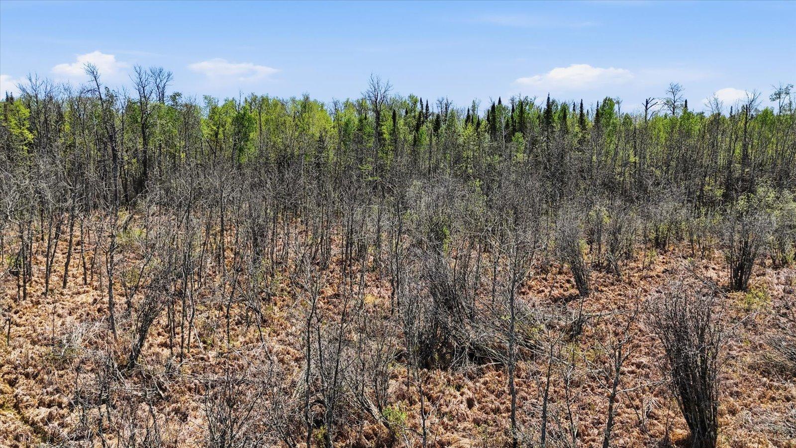land for sale at TBD TBD Cedar Point Road in Marcell, MN (photo 15 of 23)