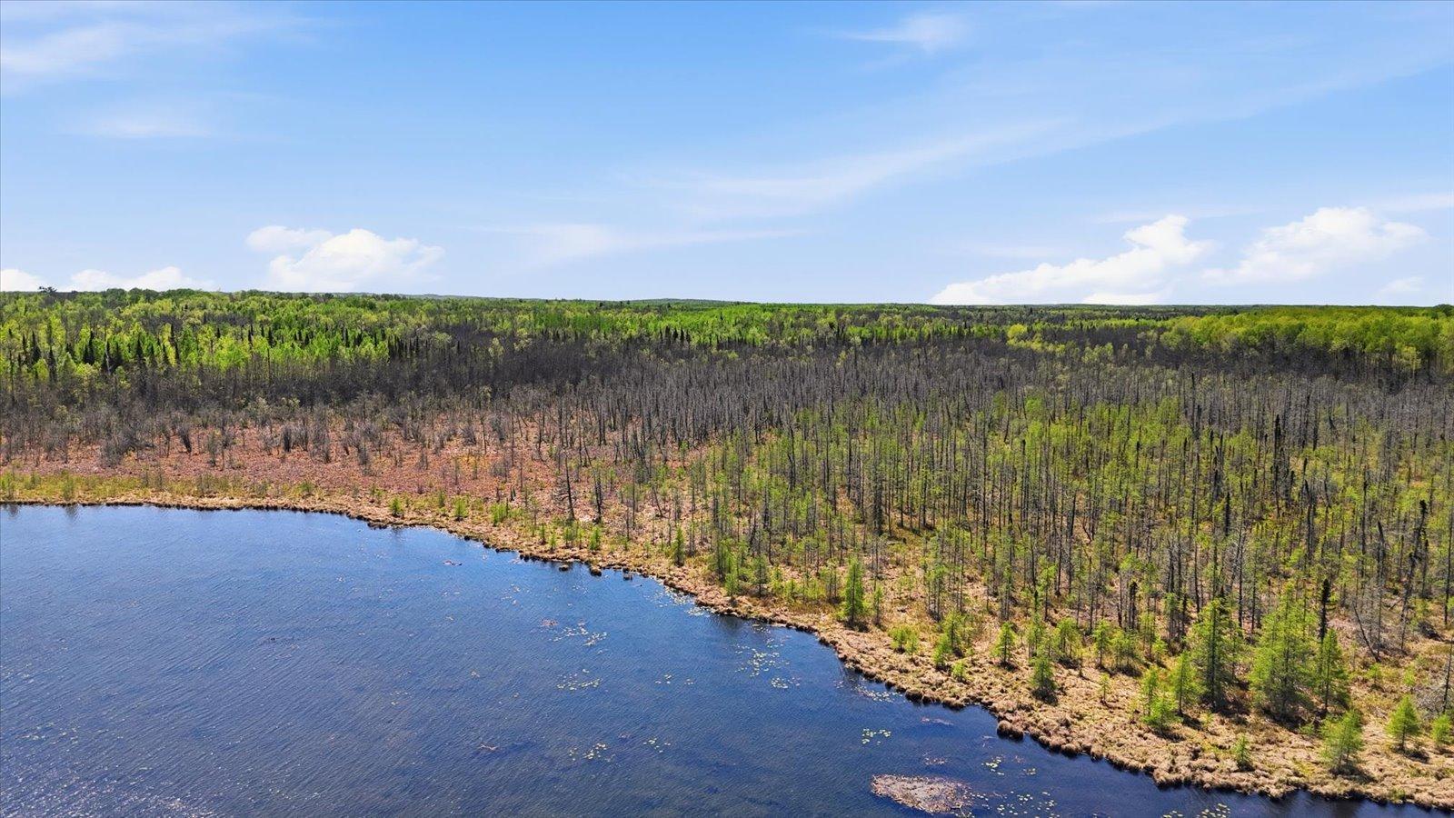 land for sale at TBD TBD Cedar Point Road in Marcell, MN (photo 17 of 23)