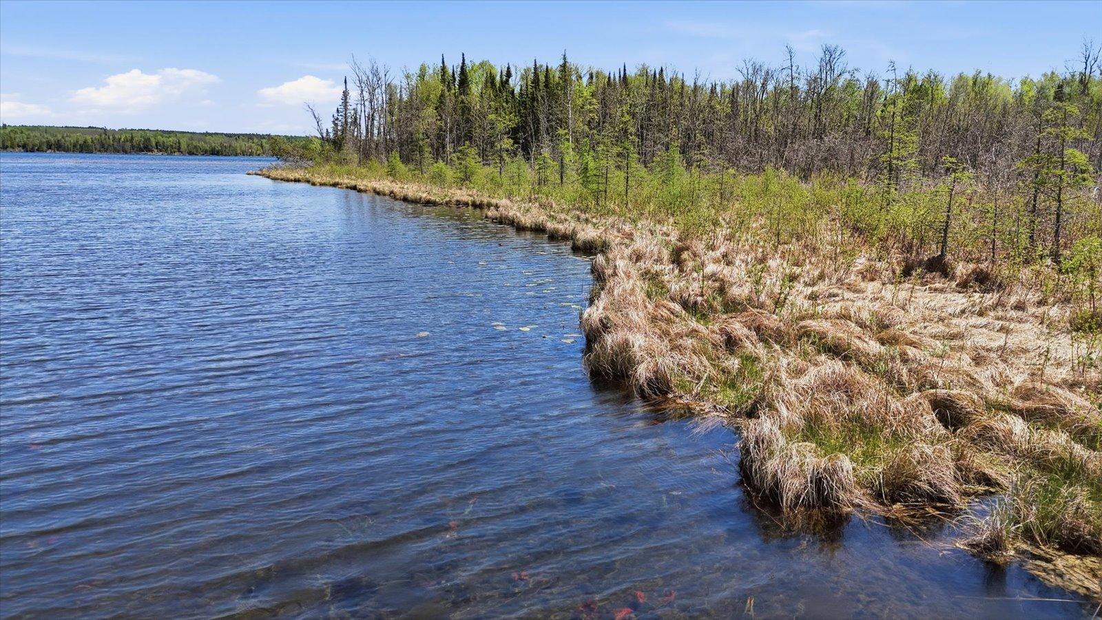 land for sale at TBD TBD Cedar Point Road in Marcell, MN (photo 18 of 23)