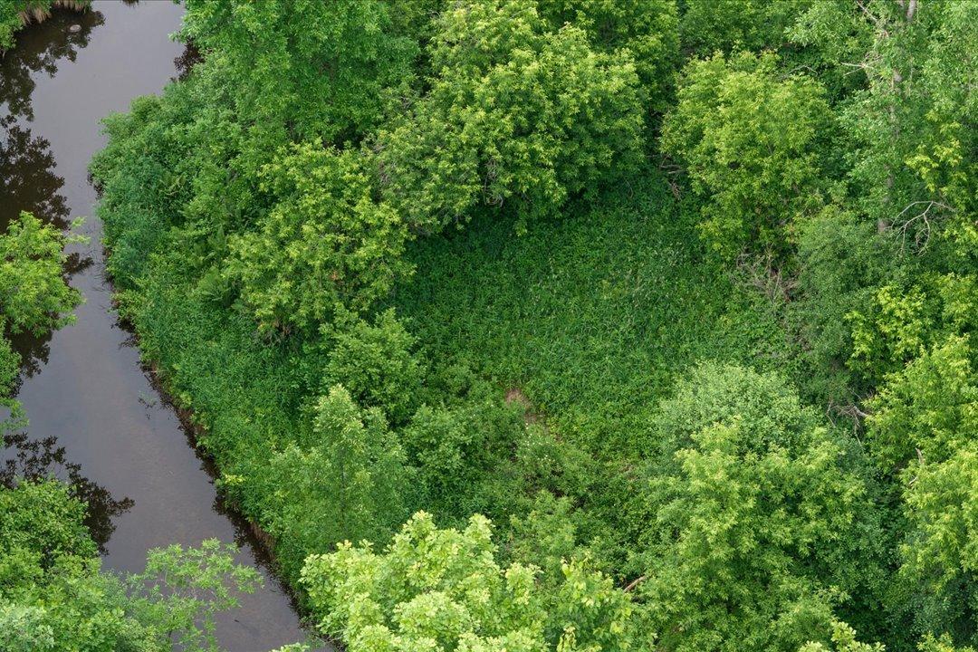 TBD Mitchell Road, Nisswa MN 56468 - Photo 2 of 22