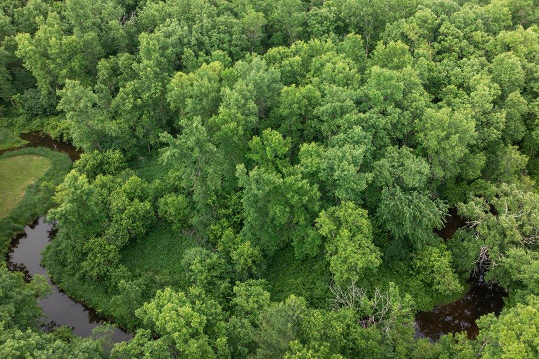 TBD Mitchell Road, Nisswa MN 56468 - Photo 12 of 22