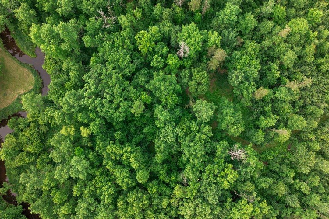 TBD Mitchell Road, Nisswa MN 56468 - Photo 14 of 22