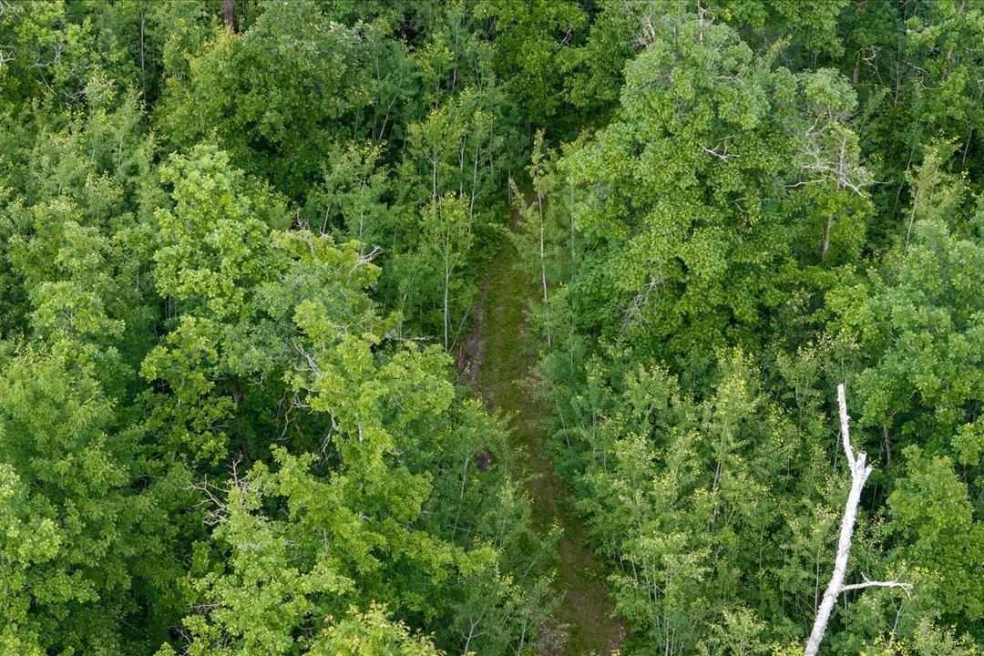 TBD Mitchell Road, Nisswa MN 56468 - Photo 15 of 22
