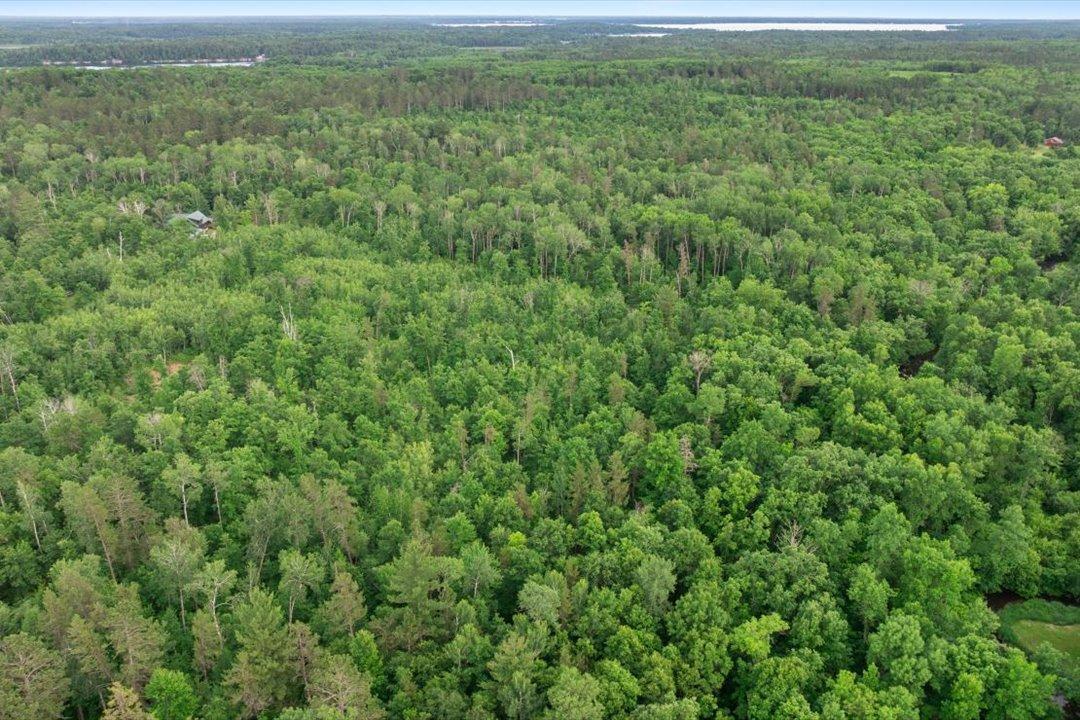 TBD Mitchell Road, Nisswa MN 56468 - Photo 16 of 22
