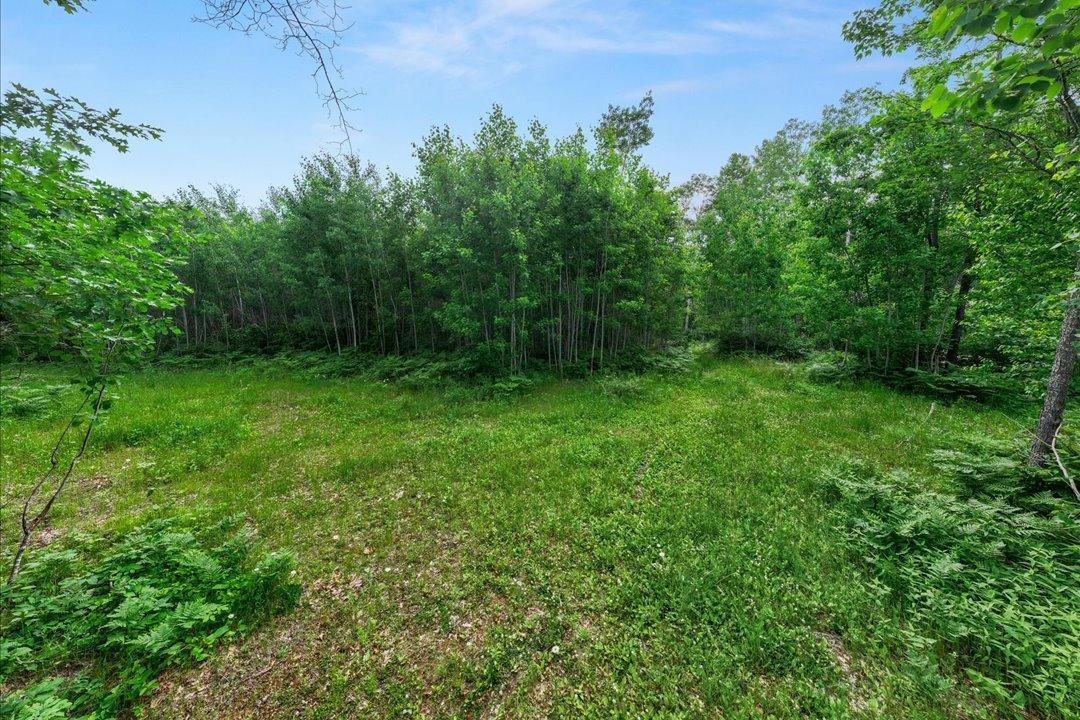 TBD Mitchell Road, Nisswa MN 56468 - Photo 20 of 22