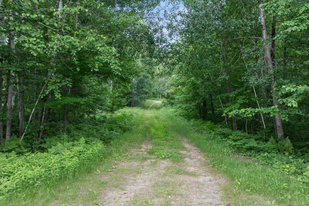 TBD Mitchell Road, Nisswa MN 56468 - Photo 3 of 22