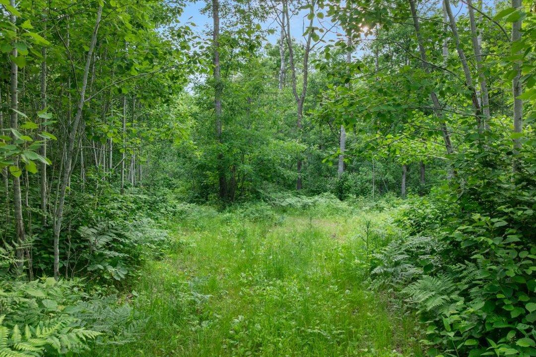 TBD Mitchell Road, Nisswa MN 56468 - Photo 21 of 22