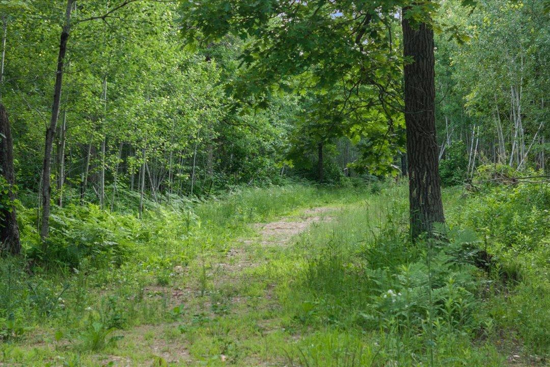 TBD Mitchell Road, Nisswa MN 56468 - Photo 5 of 22