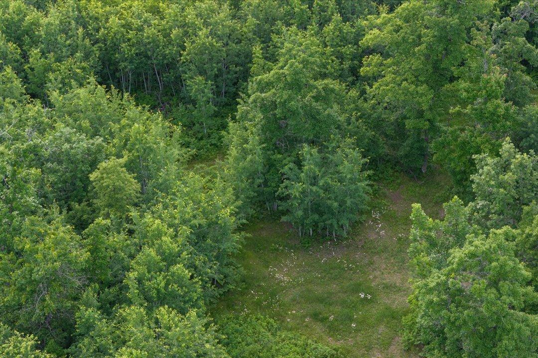 TBD Mitchell Road, Nisswa MN 56468 - Photo 7 of 22