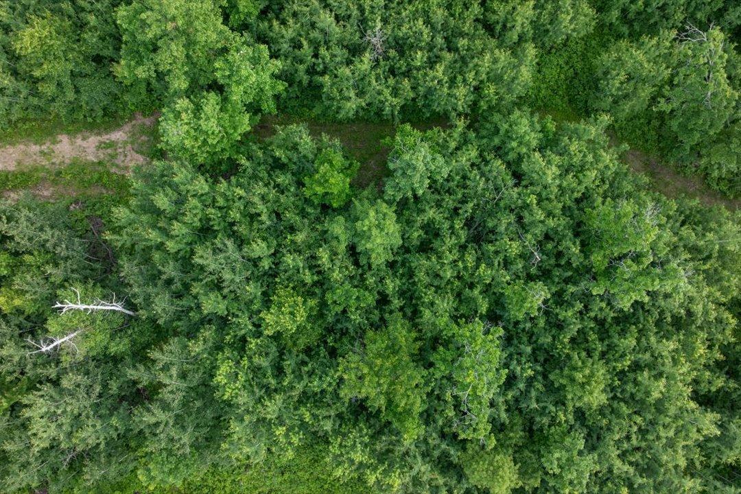 TBD Mitchell Road, Nisswa MN 56468 - Photo 8 of 22