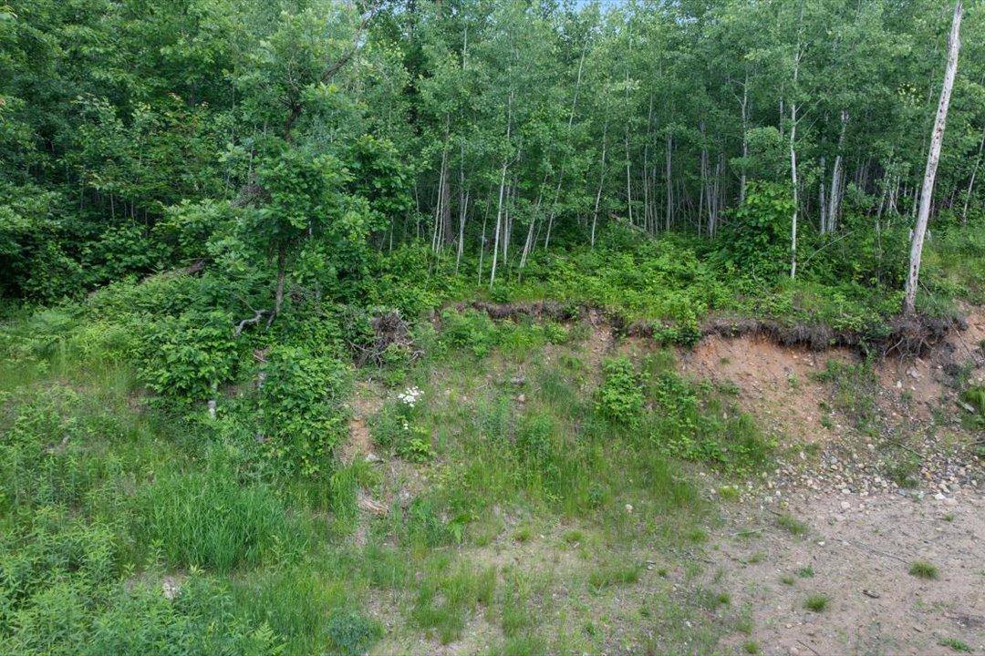TBD Mitchell Road, Nisswa MN 56468 - Photo 10 of 22