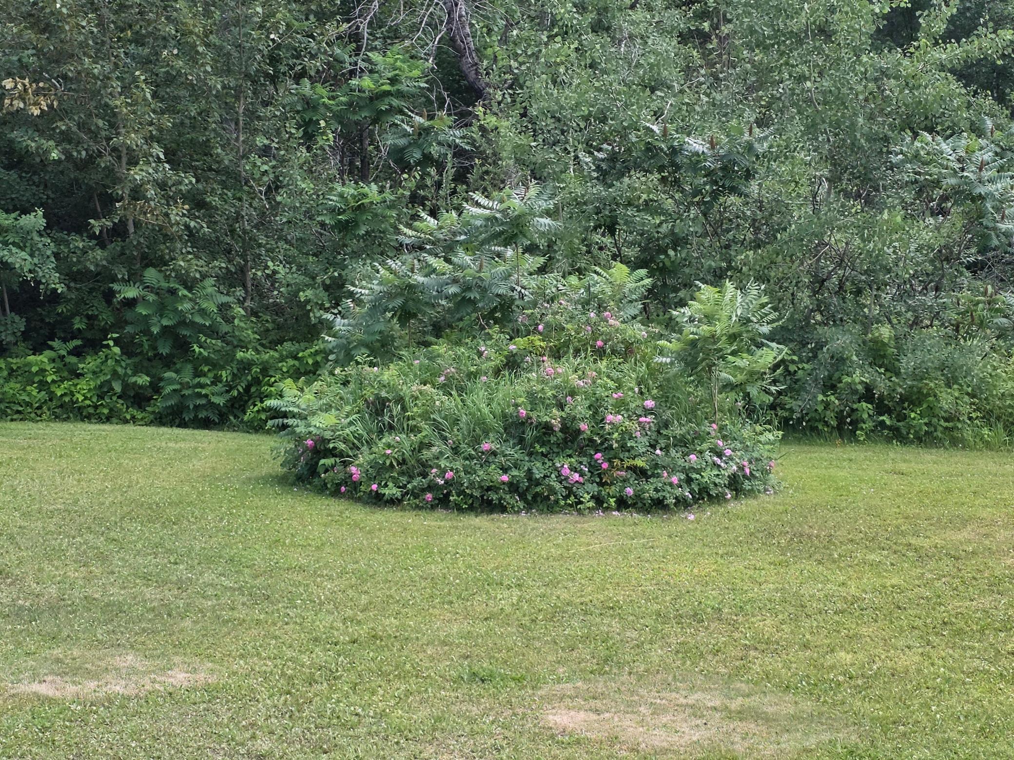 39859 County Road 63, Cohasset MN 55721 - Photo 45 of 48