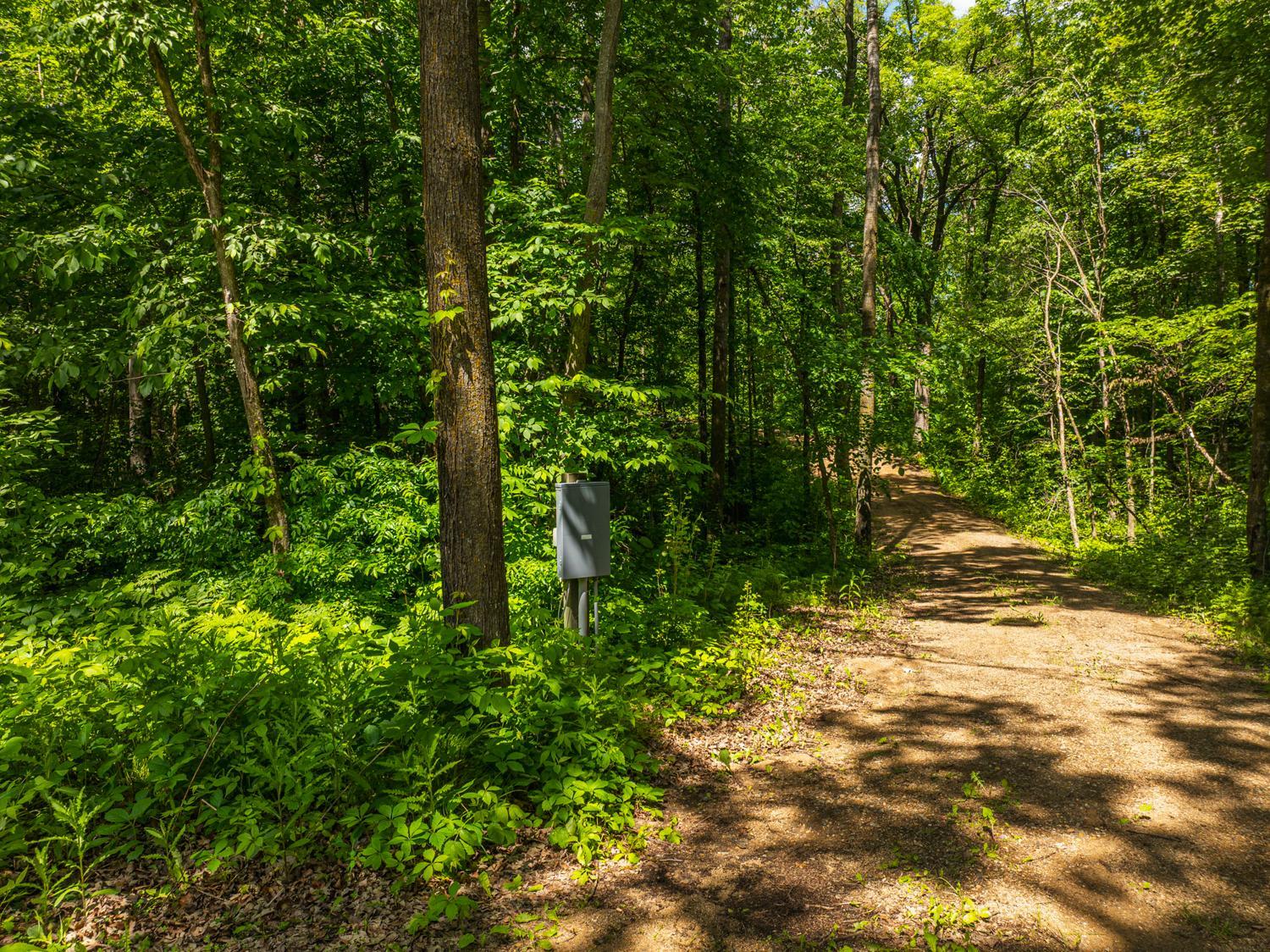 22985 Bass Lake Road, Osage MN 56570 - Photo 9 of 24