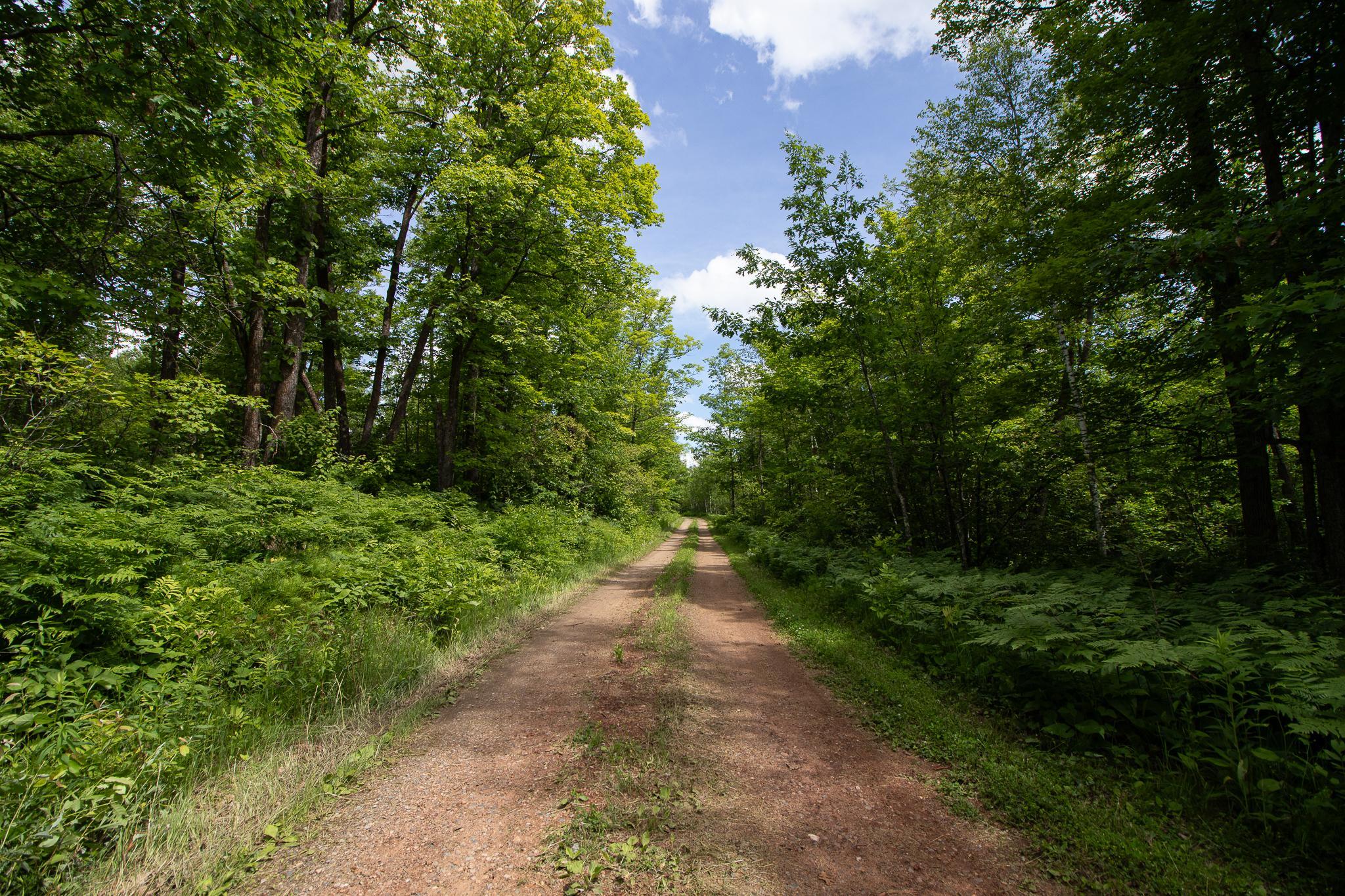 8090 County 52 NE, Remer MN 56672 - Photo 54 of 55