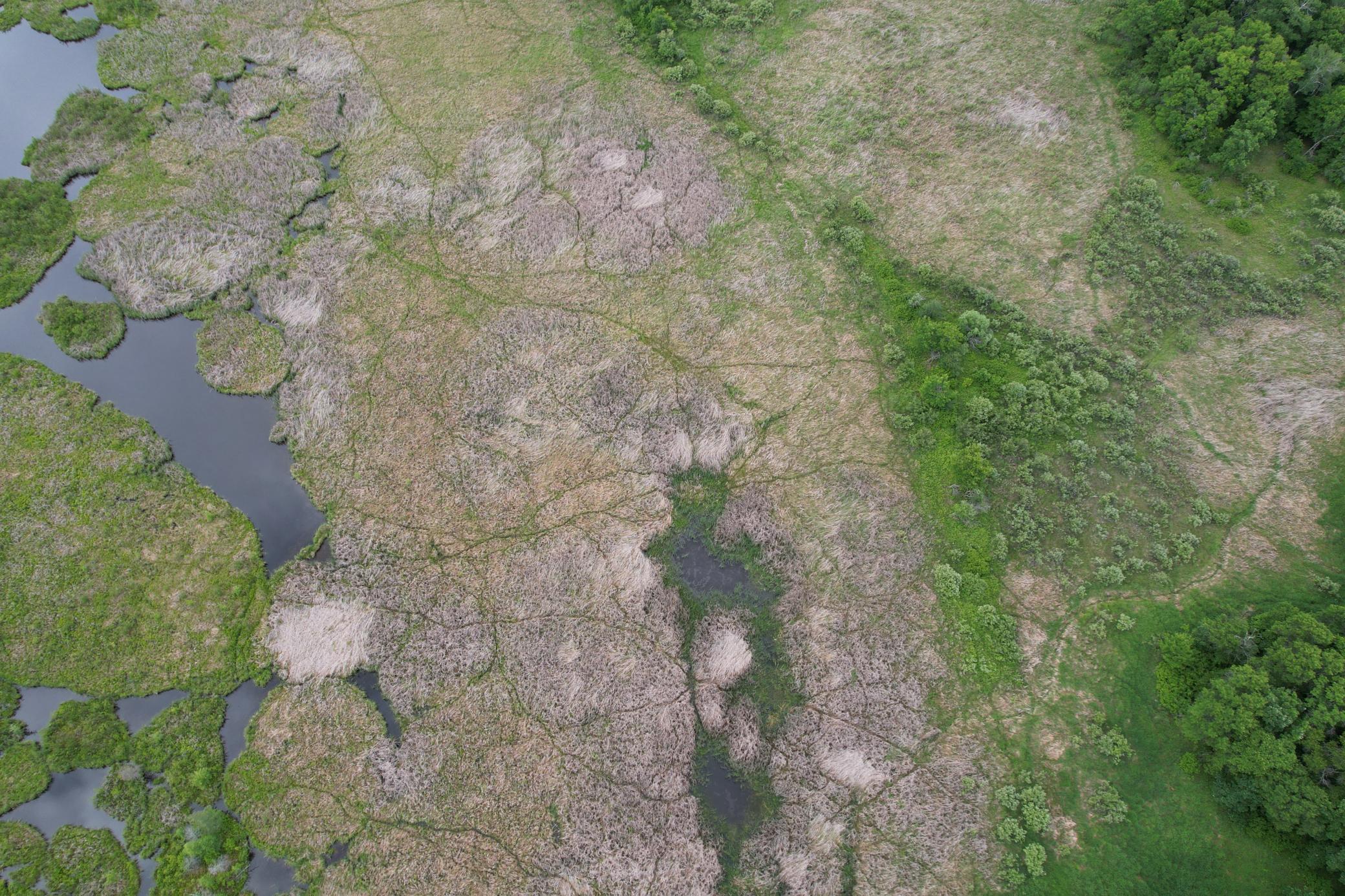 TBD 340th Street, Menahga MN 56464 - Photo 11 of 54