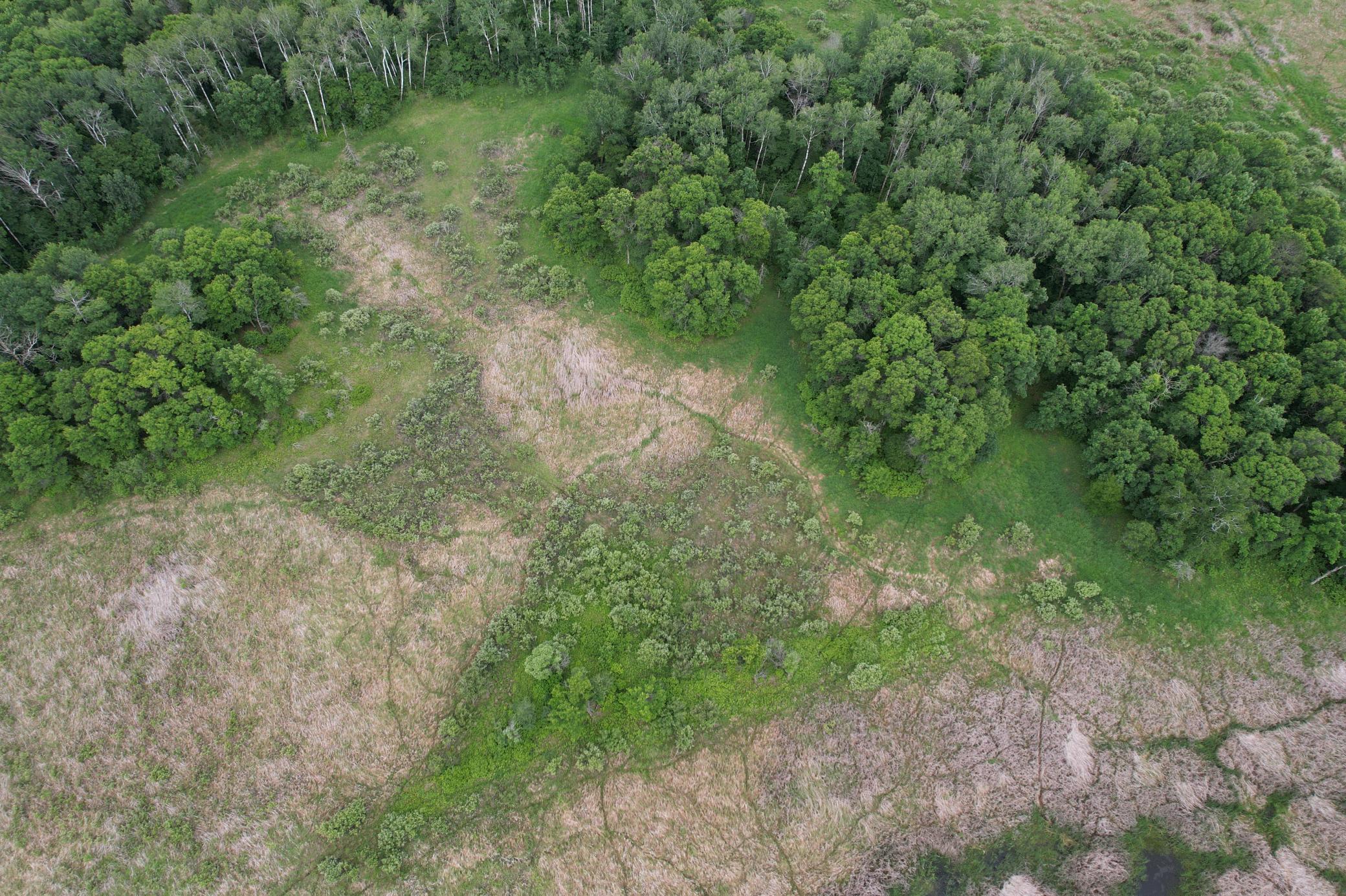 TBD 340th Street, Menahga MN 56464 - Photo 12 of 54