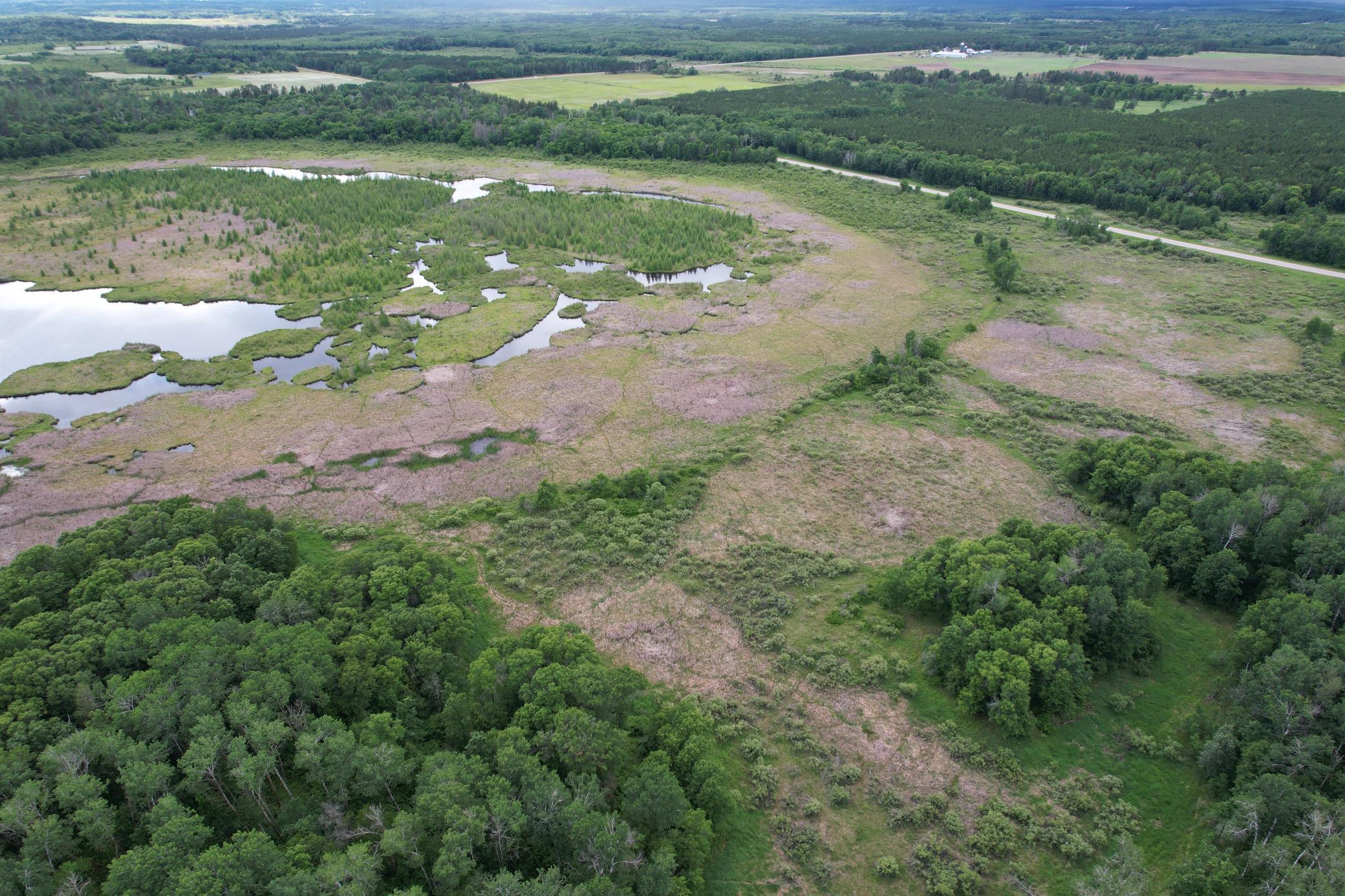TBD 340th Street, Menahga MN 56464 - Photo 13 of 54
