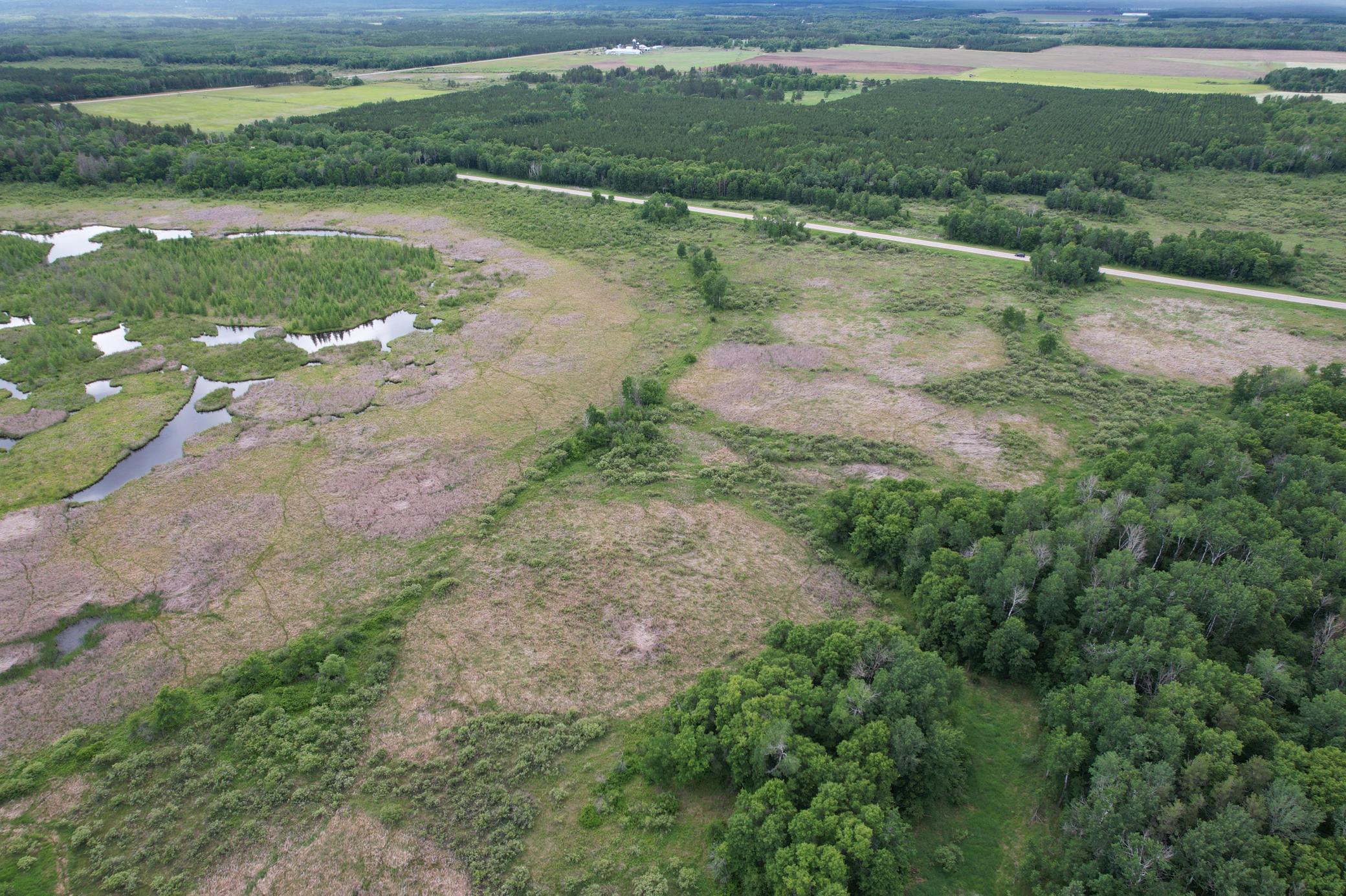 TBD 340th Street, Menahga MN 56464 - Photo 14 of 54