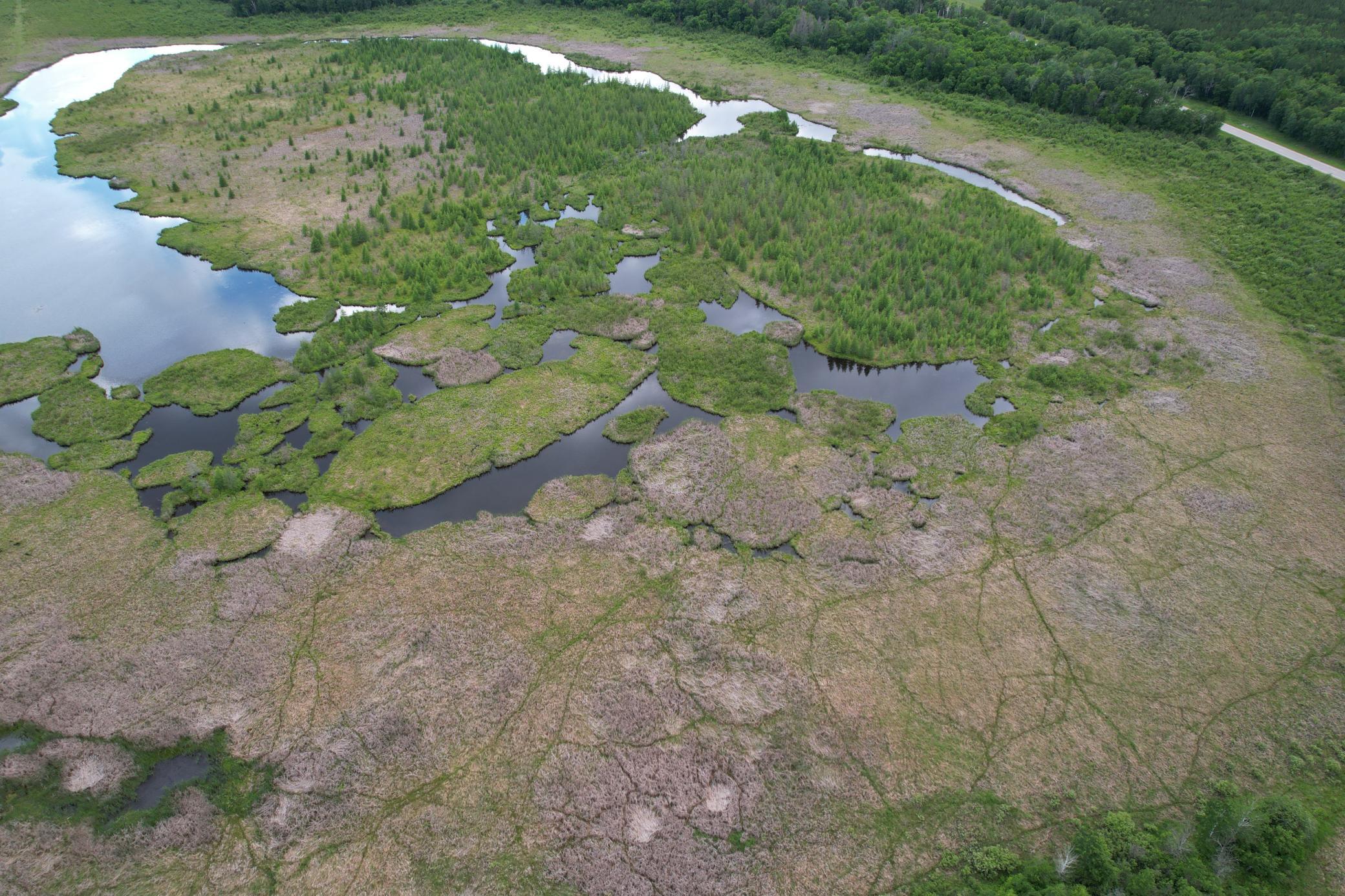 TBD 340th Street, Menahga MN 56464 - Photo 15 of 54