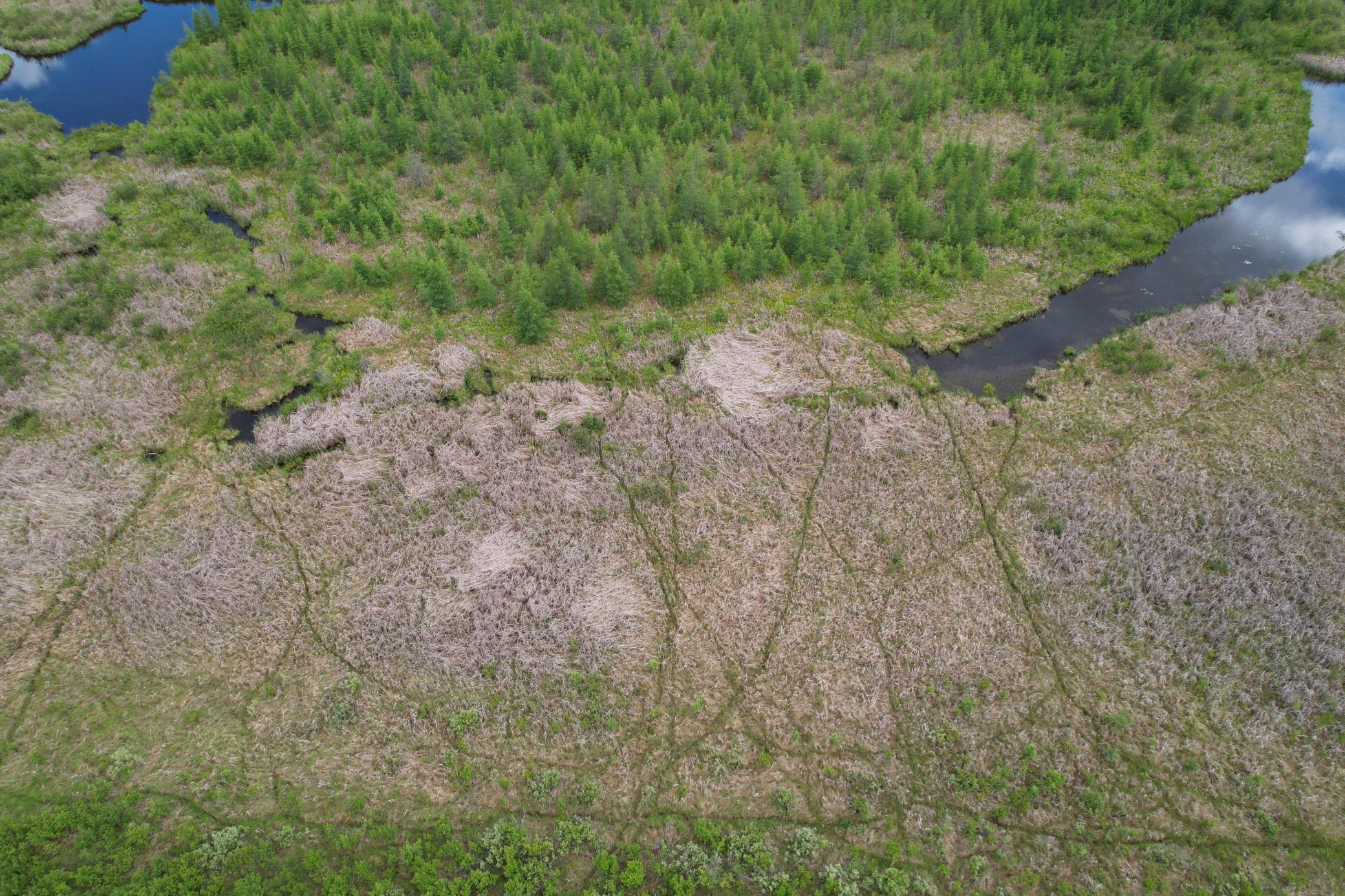 TBD 340th Street, Menahga MN 56464 - Photo 19 of 54