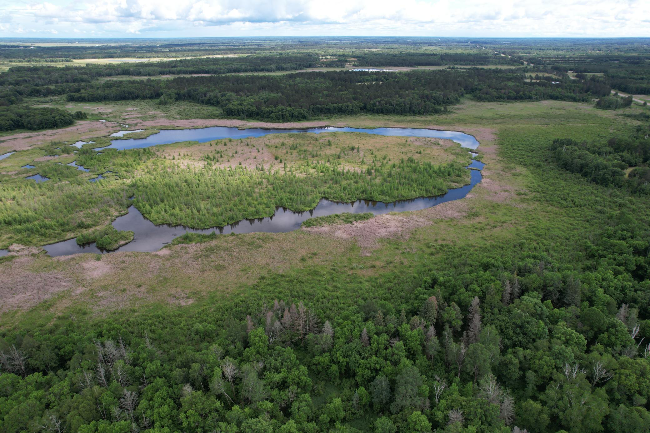 TBD 340th Street, Menahga MN 56464 - Photo 3 of 54