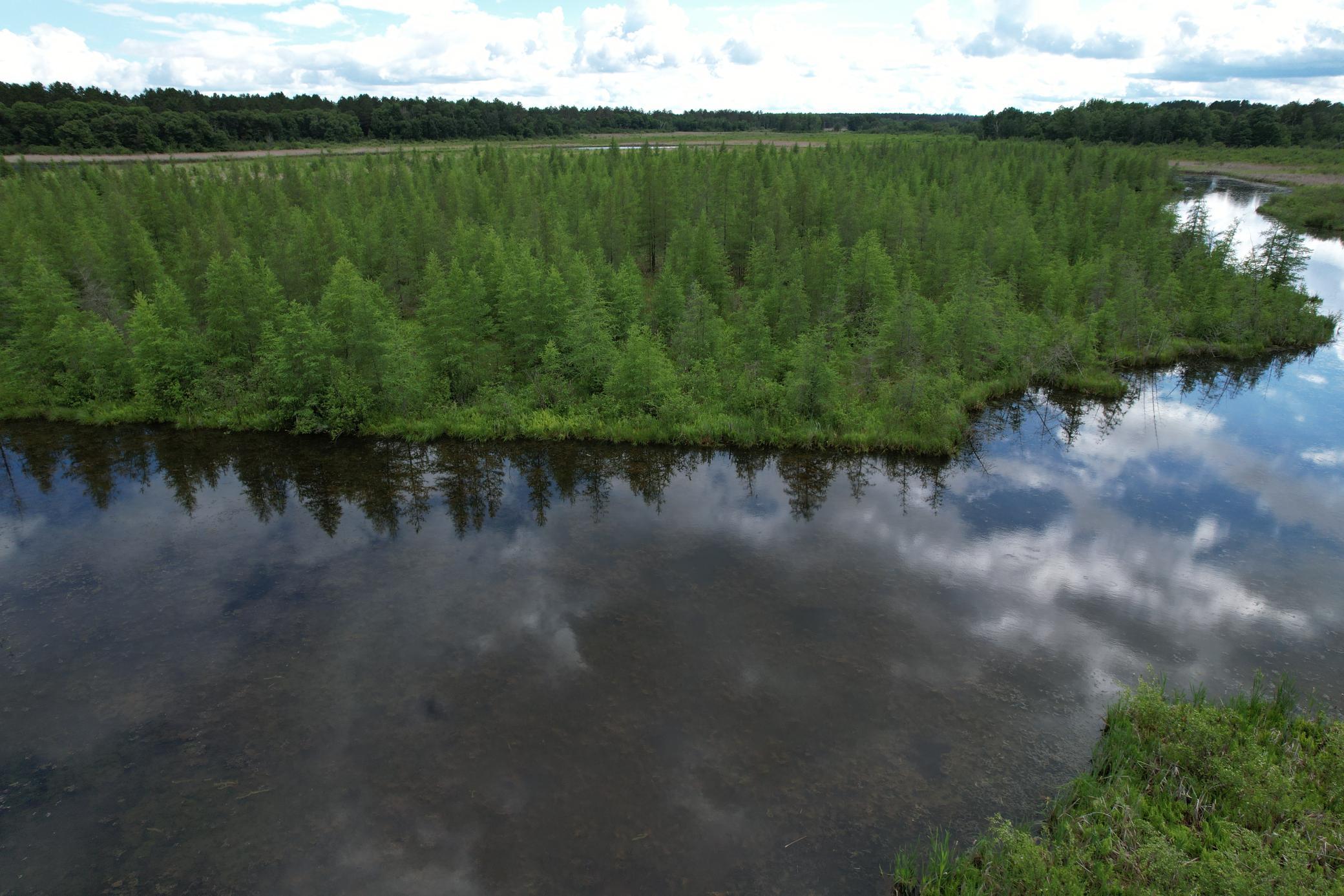 TBD 340th Street, Menahga MN 56464 - Photo 22 of 54