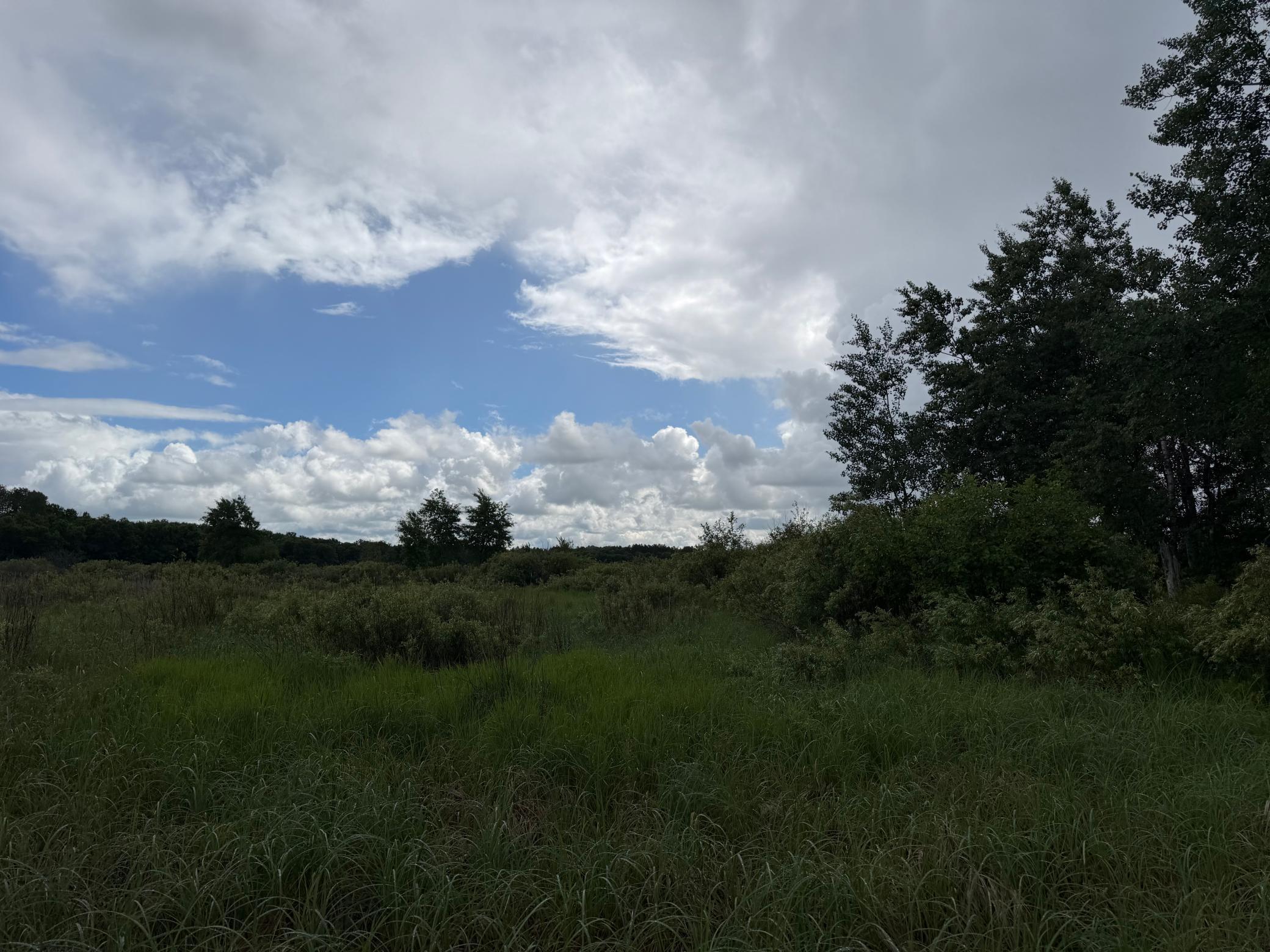 TBD 340th Street, Menahga MN 56464 - Photo 24 of 54