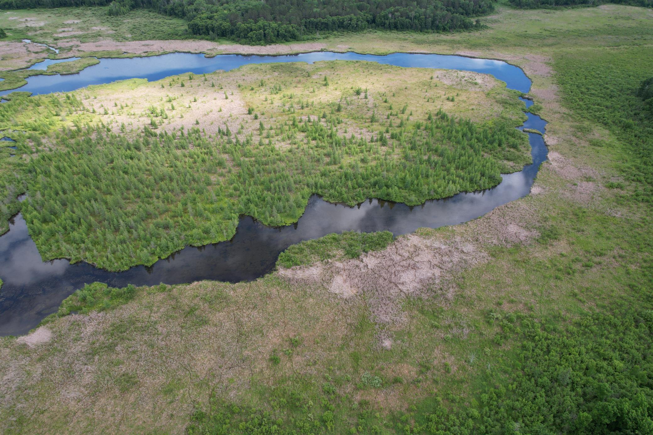 TBD 340th Street, Menahga MN 56464 - Photo 4 of 54