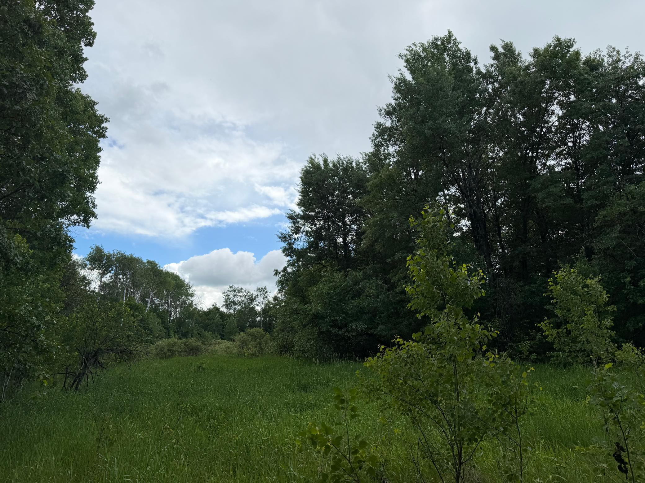TBD 340th Street, Menahga MN 56464 - Photo 34 of 54