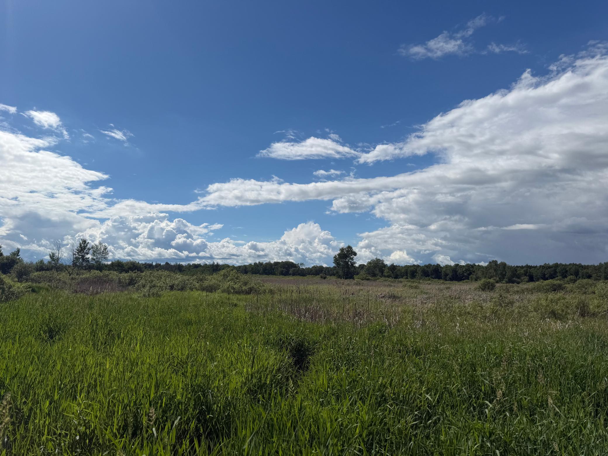 TBD 340th Street, Menahga MN 56464 - Photo 44 of 54