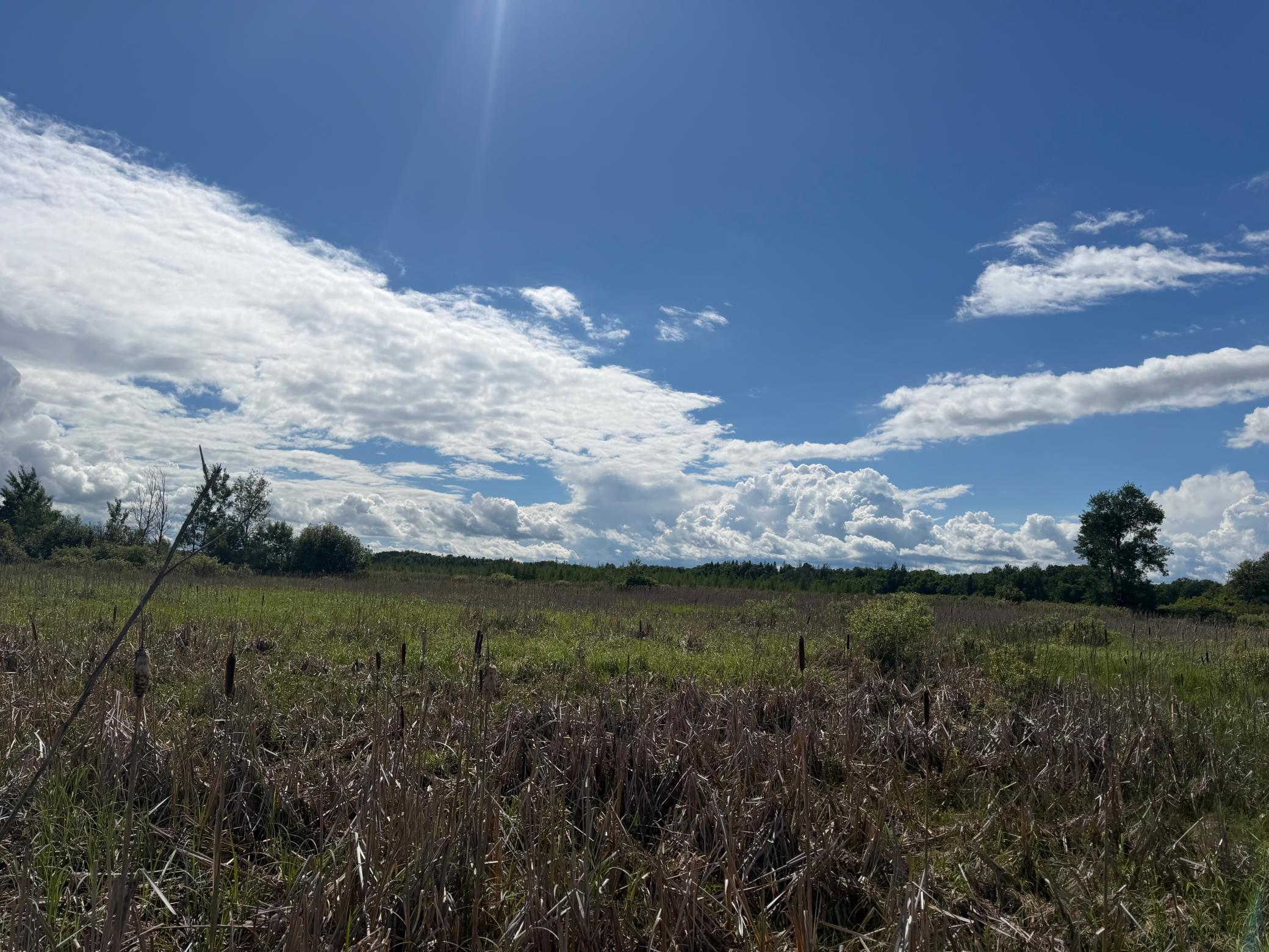 TBD 340th Street, Menahga MN 56464 - Photo 45 of 54