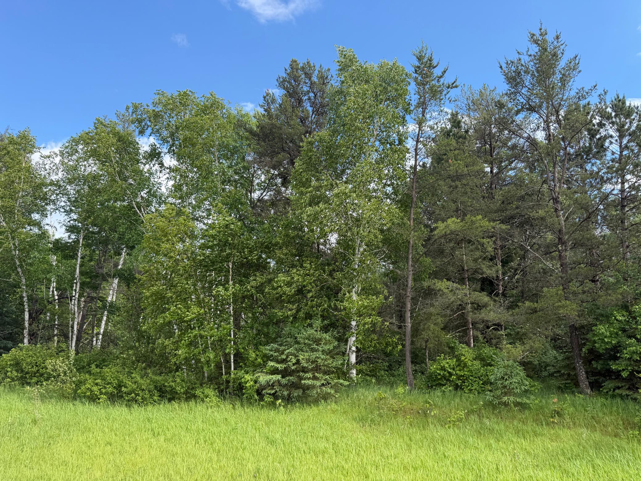 TBD 340th Street, Menahga MN 56464 - Photo 47 of 54